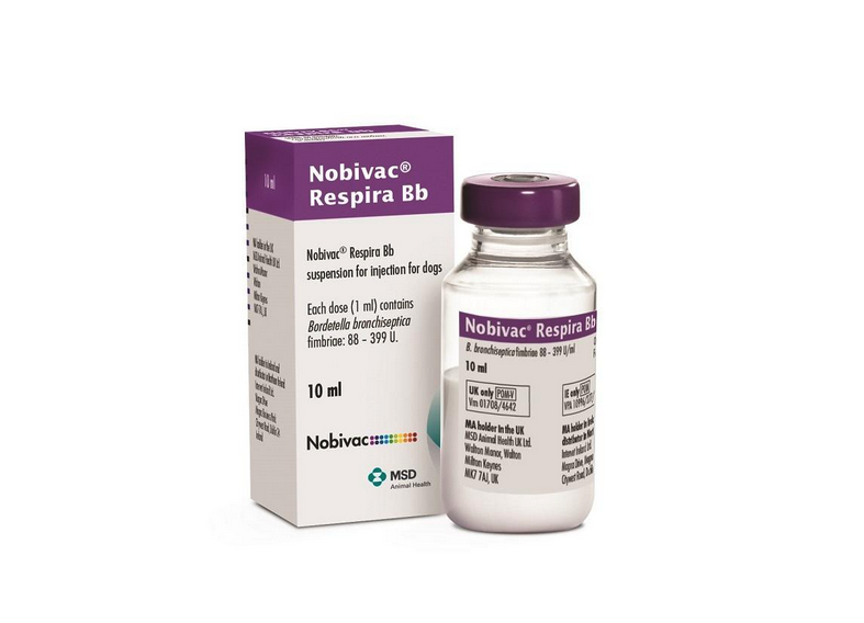 NOBIVAC® RESPIRA BB