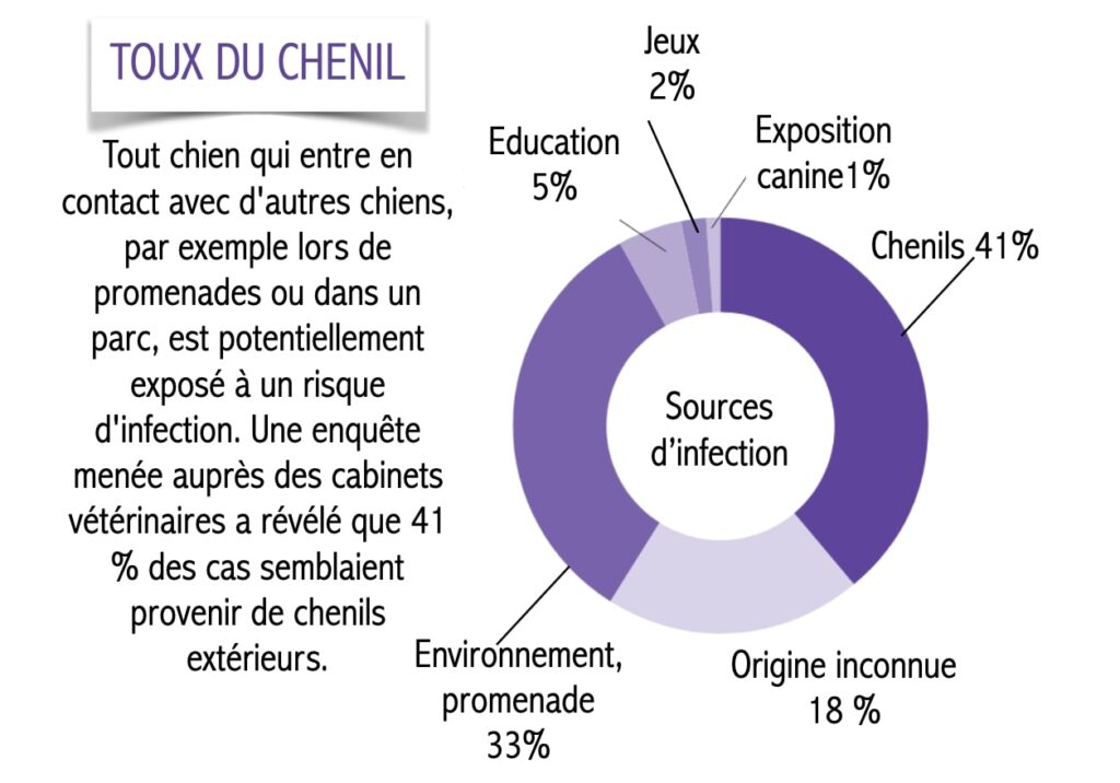 vaccin toux chenil