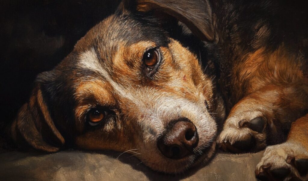 Chenilles processionnaires chez le chien